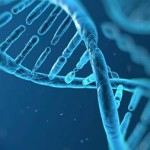 stress crónico-ambiente-DNA