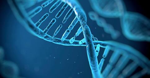 Como o stress crónico danifica o nosso DNA